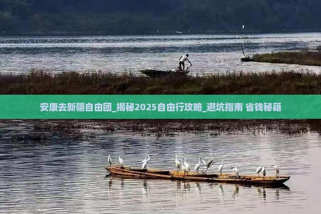 安康去新疆自由团