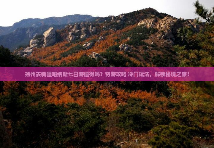 扬州去新疆喀纳斯七日游