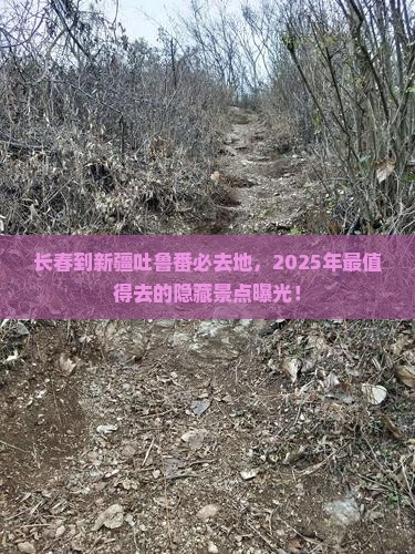 长春到新疆吐鲁番必去地