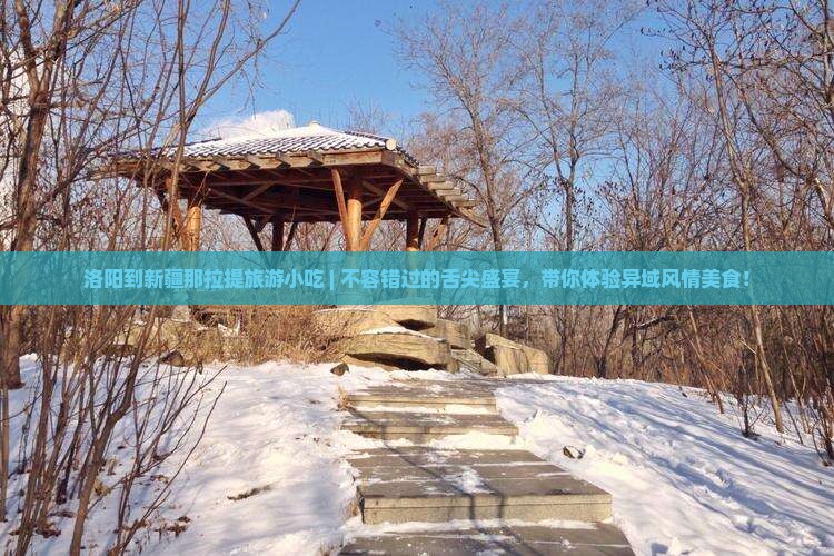 洛阳到新疆那拉提旅游小吃