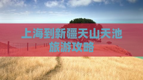 上海到新疆天山天池景点