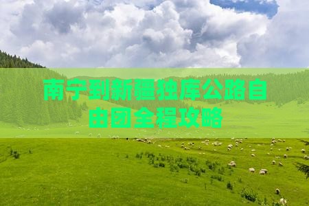 南宁到新疆独库公路自由团