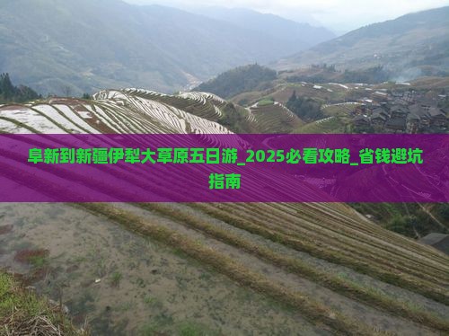阜新到新疆伊犁大草原五日游