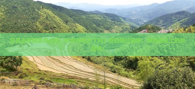 宜昌去新疆旅游小吃