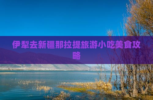 伊犁去新疆那拉提旅游小吃美食攻略