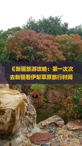 《新疆旅游攻略：第一次次去新疆看伊犁草原旅行时间与费用指南》