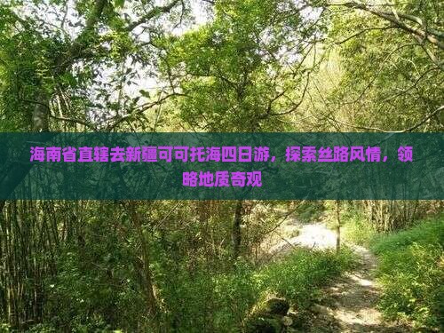 海南省直辖去新疆可可托海四日游，探索丝路风情，领略地质奇观