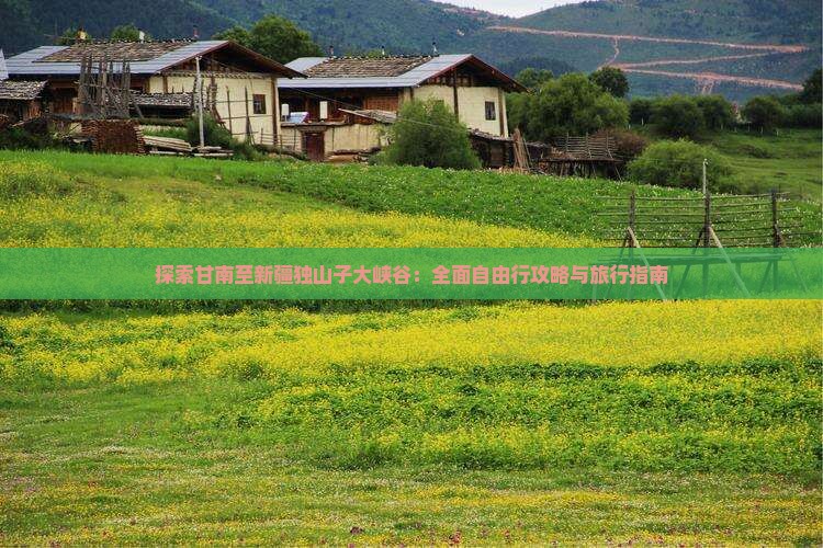 探索甘南至新疆独山子大峡谷：全面自由行攻略与旅行指南