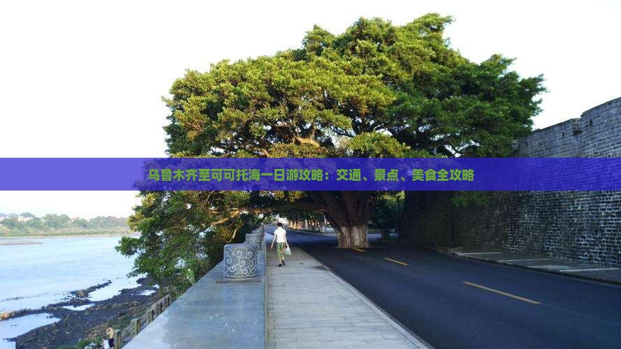 乌鲁木齐至可可托海一日游攻略：交通、景点、美食全攻略