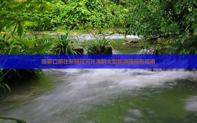 张家口前往新疆可可托海的大型旅游团报名指南