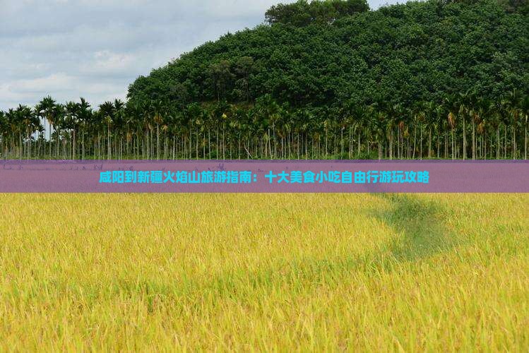 咸阳到新疆火焰山旅游指南：十大美食小吃自由行游玩攻略