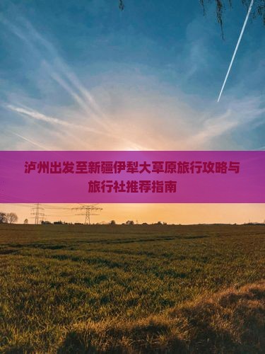 泸州出发至新疆伊犁大草原旅行攻略与旅行社推荐指南