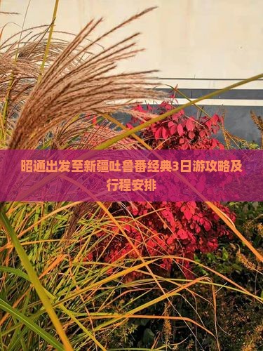 昭通出发至新疆吐鲁番经典3日游攻略及行程安排