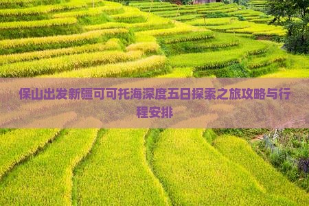 保山出发新疆可可托海深度五日探索之旅攻略与行程安排