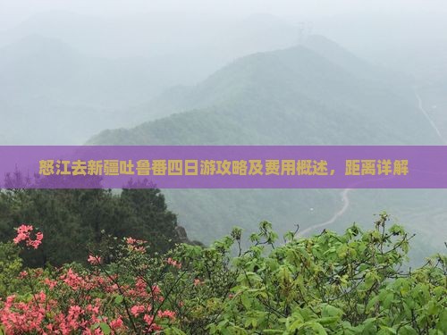 怒江去新疆吐鲁番四日游攻略及费用概述，距离详解
