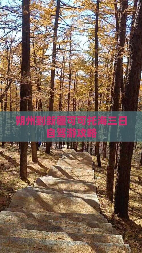 朔州到新疆可可托海三日自驾游攻略