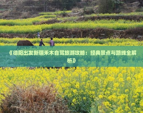 《德阳出发新疆禾木自驾旅游攻略：经典景点与路线全解析》