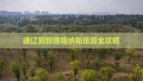 通辽到新疆喀纳斯旅游全攻略