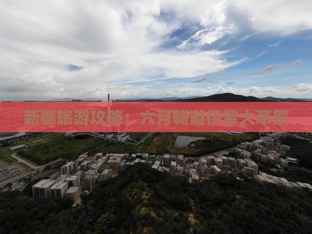新疆旅游攻略：六月畅游伊犁大草原