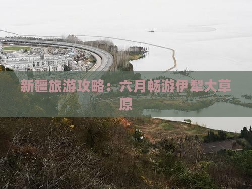 新疆旅游攻略：六月畅游伊犁大草原