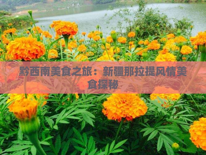 黔西南美食之旅：新疆那拉提风情美食探秘