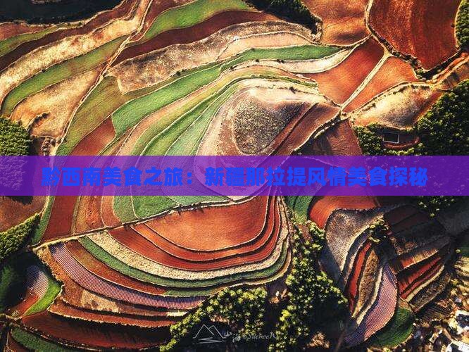 黔西南美食之旅：新疆那拉提风情美食探秘