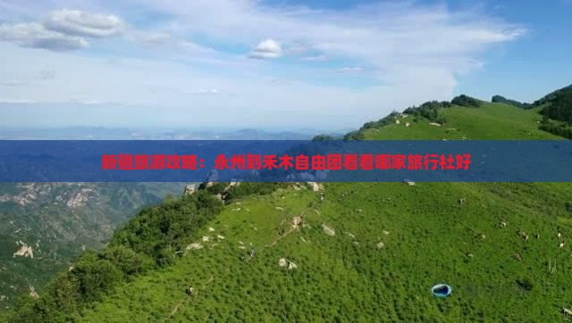 新疆旅游攻略：永州到禾木自由团看看哪家旅行社好