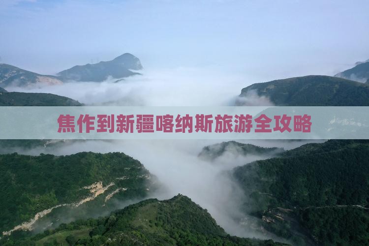 焦作到新疆喀纳斯旅游全攻略