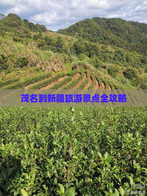 茂名到新疆旅游景点全攻略
