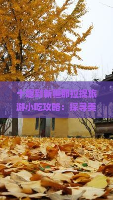 十堰到新疆那拉提旅游小吃攻略：探寻美食与美景的完美结合