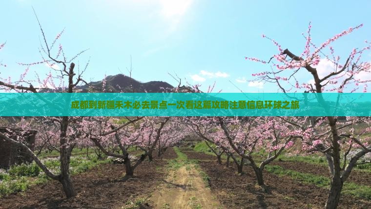成都到新疆禾木必去景点一次看这篇攻略注意信息环球之旅