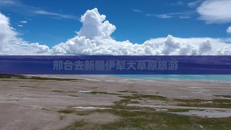 邢台去新疆伊犁大草原旅游