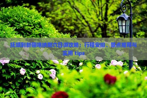 抚顺到新疆喀纳斯六日游攻略：行程安排、景点推荐与实用 tips