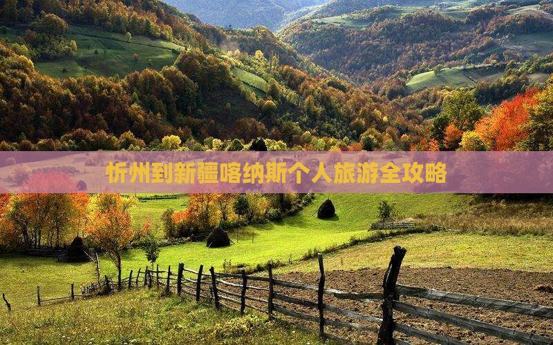 忻州到新疆喀纳斯个人旅游全攻略