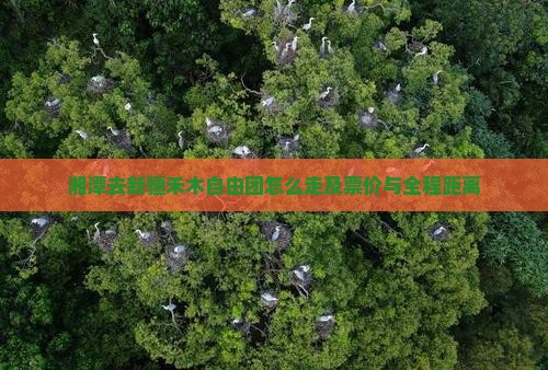 湘潭去新疆禾木自由团怎么走及票价与全程距离