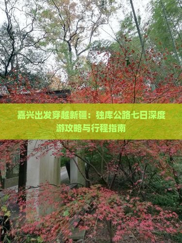嘉兴出发穿越新疆：独库公路七日深度游攻略与行程指南