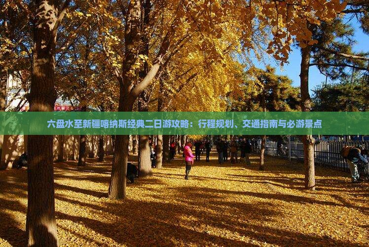 六盘水至新疆喀纳斯经典二日游攻略：行程规划、交通指南与必游景点
