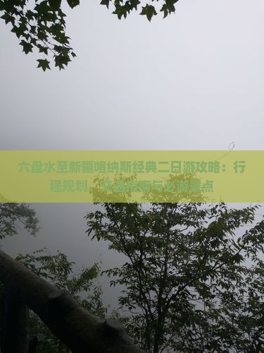六盘水至新疆喀纳斯经典二日游攻略：行程规划、交通指南与必游景点