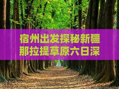 宿州出发探秘新疆那拉提草原六日深度游攻略