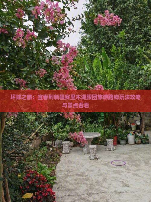 环球之旅：宜春到新疆赛里木湖跟团旅游路线玩法攻略与景点看看