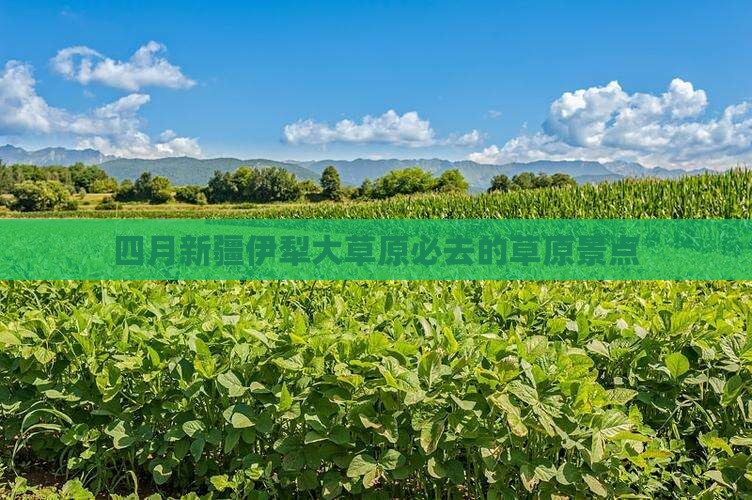 四月新疆伊犁大草原必去的草原景点
