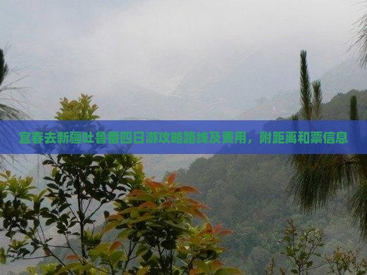 宜春去新疆吐鲁番四日游攻略路线及费用，附距离和票信息