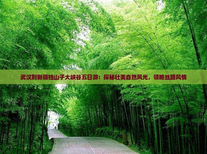 武汉到新疆独山子大峡谷五日游：探秘壮美自然风光，领略丝路风情