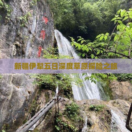 新疆伊犁五日深度草原探险之旅