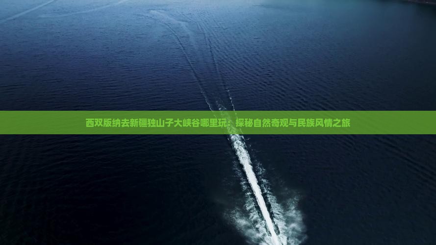 西双版纳去新疆独山子大峡谷哪里玩：探秘自然奇观与民族风情之旅