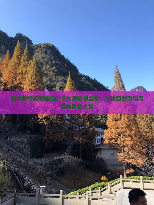 西双版纳去新疆独山子大峡谷哪里玩：探秘自然奇观与民族风情之旅