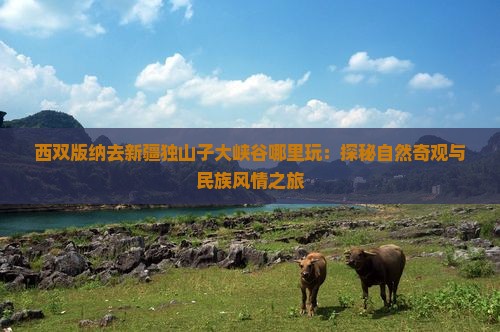 西双版纳去新疆独山子大峡谷哪里玩：探秘自然奇观与民族风情之旅