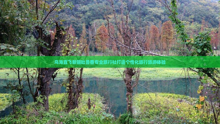 乌海直飞新疆吐鲁番专业旅行社打造个性化旅行旅游体验