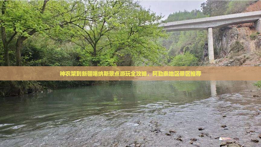 神农架到新疆喀纳斯景点游玩全攻略，阿勒泰地区景区推荐