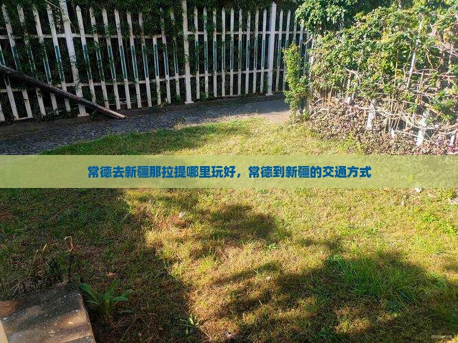 常德去新疆那拉提哪里玩